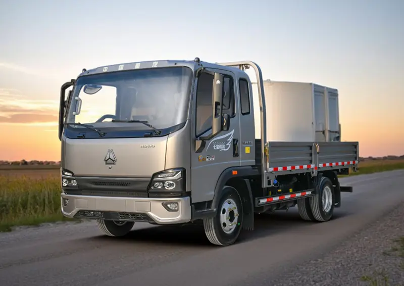 Sinotruk Howo 4×2 170 Light Truck-2