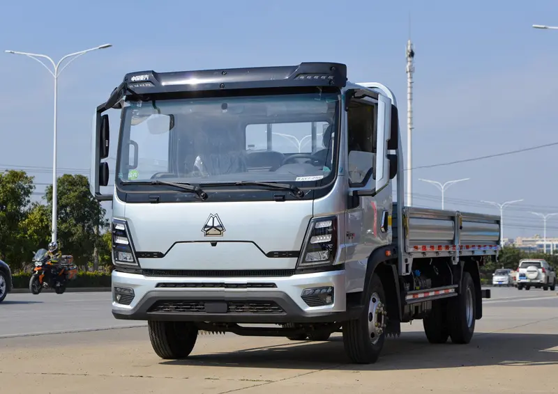 Sinotruk Howo 4×2 170 Light Truck-3