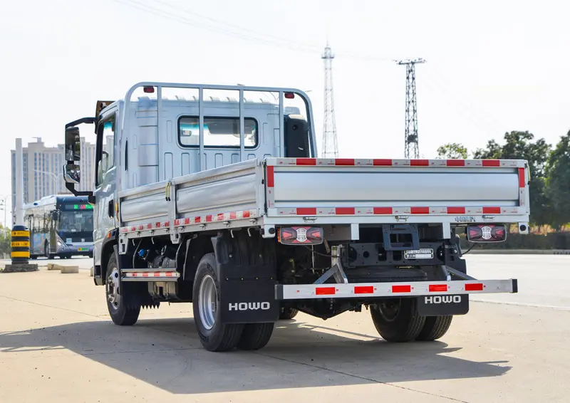 Sinotruk Howo 4×2 170 Light Truck-4