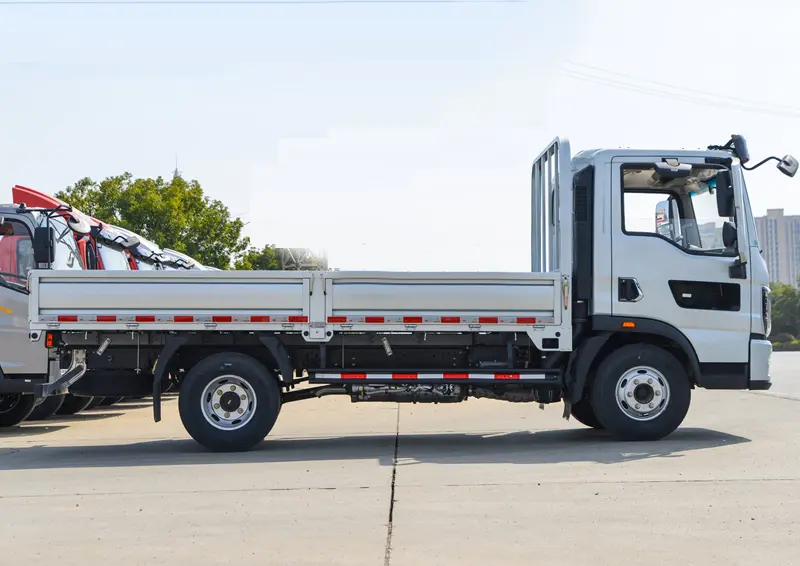 Sinotruk Howo 4×2 170 Light Truck-5