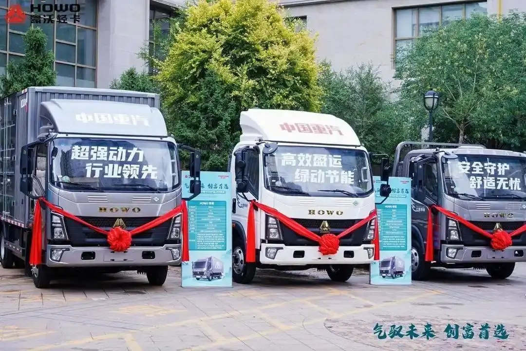 Sinotruk Howo Light Truck CNG